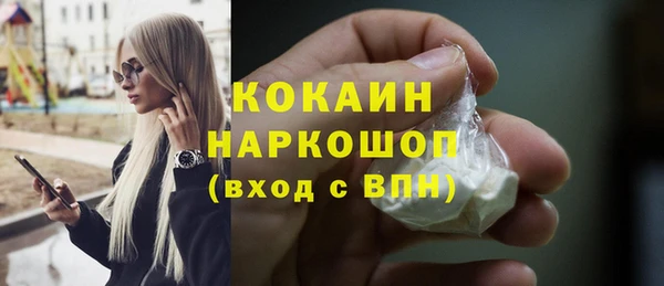 apvp Алексин