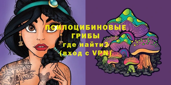 apvp Алексин