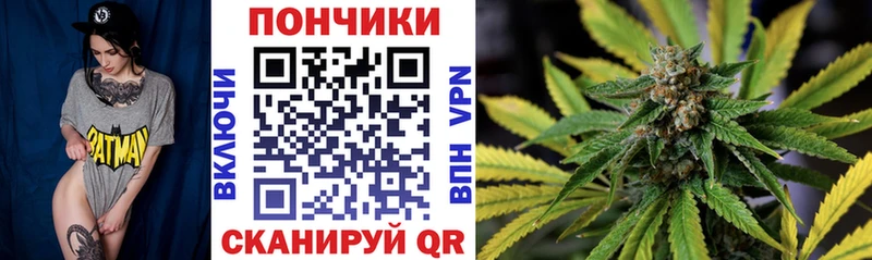 MEGA ONION  Лахденпохья  площадка как зайти  Бошки Шишки ГИДРОПОН 